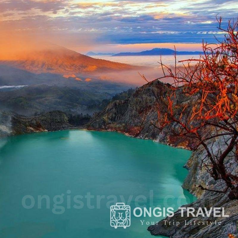 Paket Wisata Banyuwangi Hari Malam Ongis Travel