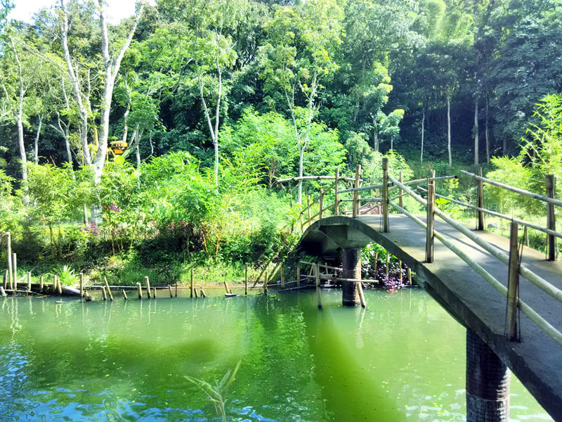 Hutan Bambu Dan Wisata Air Andeman Di Turen Malang • Ongis Travel