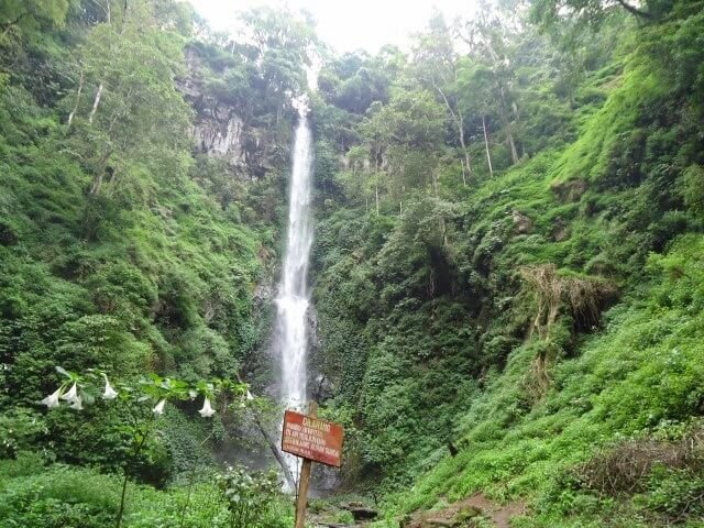 Pesona Wisata Coban Rais Wisata Terbaru Di Kota Batu