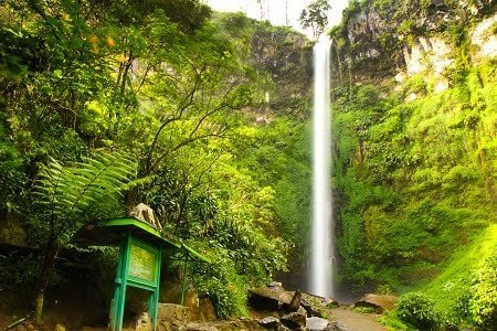 coban-rondo