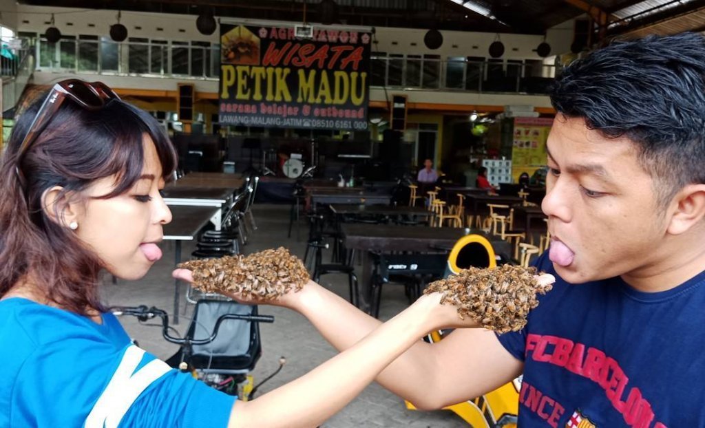 Petik Madu di Lawang