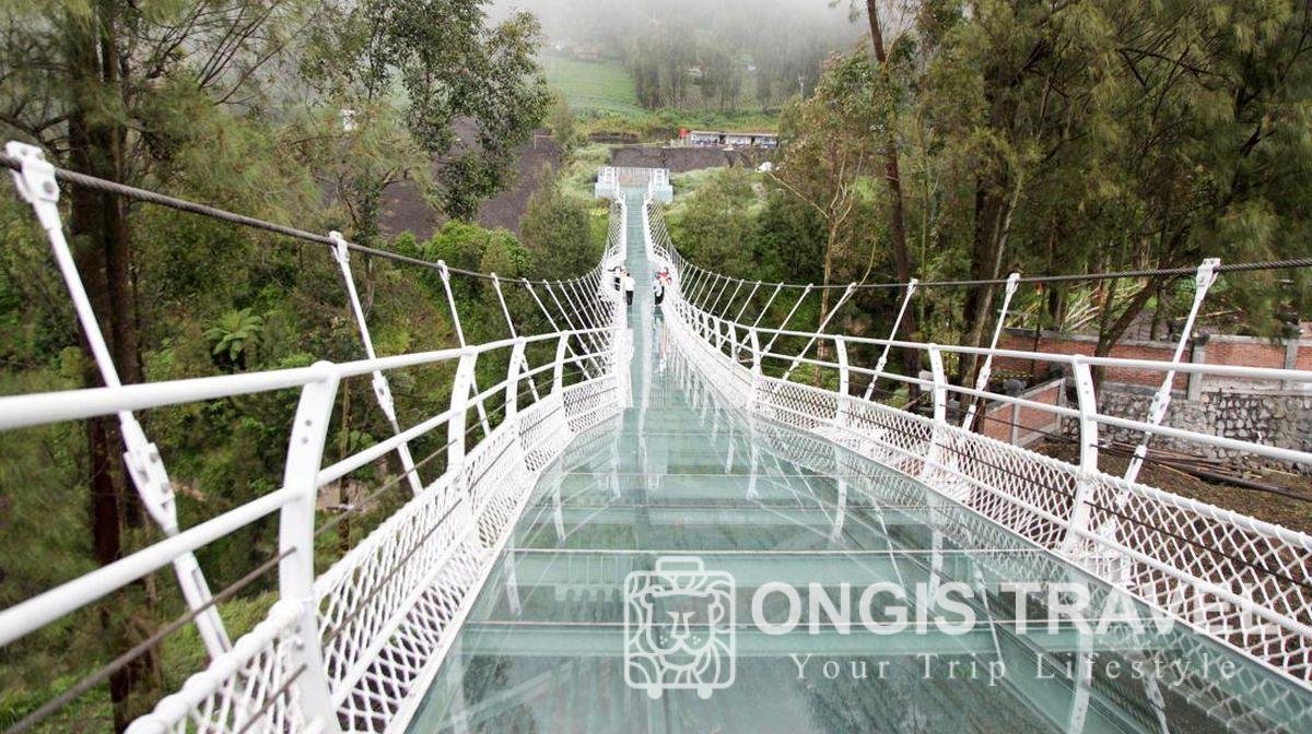 Spot Terbaik Wisata Di Gunung Bromo Terbaru – Ongis Travel