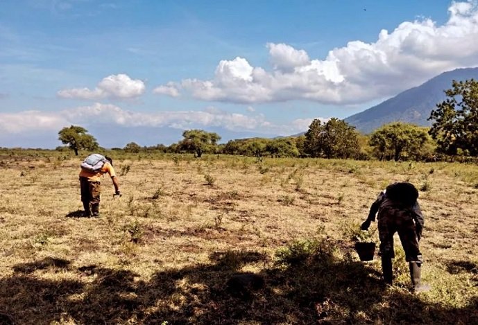 wisata taman nasional baluran