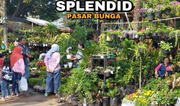 pasar bunga malang