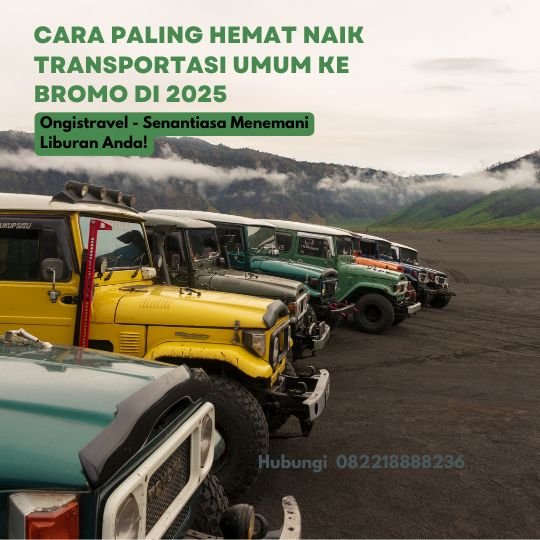 Cara Paling Hemat Naik Transportasi Umum ke Bromo di 2025