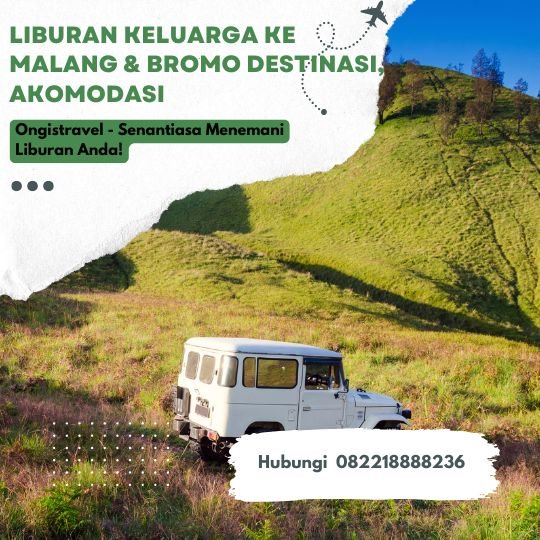 Liburan Keluarga ke Malang & Bromo Destinasi, Akomodasi