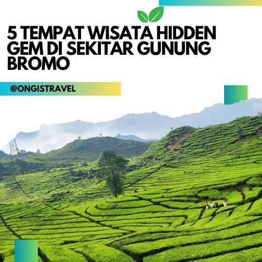 5 Tempat Wisata Hidden Gem di Sekitar Gunung Bromo