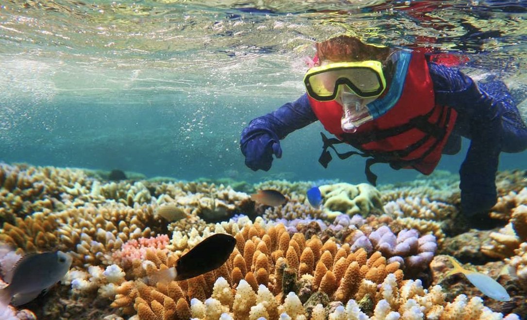 7 Tempat Snorkling Terbaik di Indonesia
