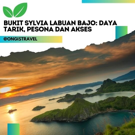 Bukit Sylvia Labuan Bajo