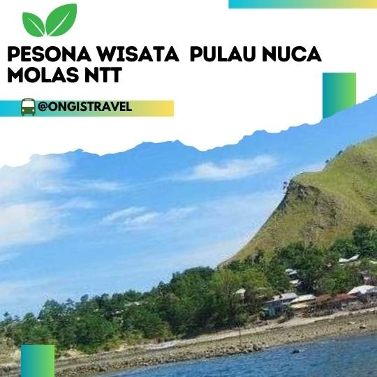 Daya Tarik Utama Pulau Nuca Molas Daya Tarik Utama Pulau Nuca Molas