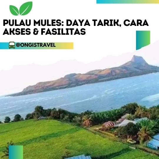 Pulau Mules NTT Pulau Mules NTT