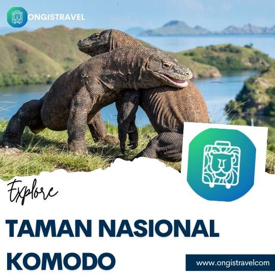 taman nasional komodo taman nasional komodo